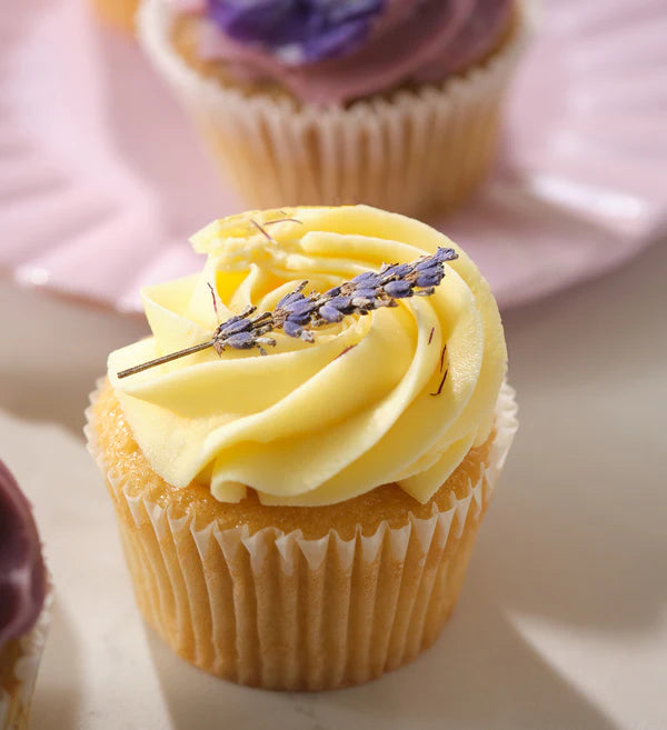 Spring Cupcake Box