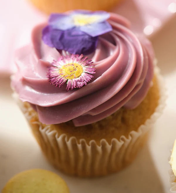 Spring Cupcake Box