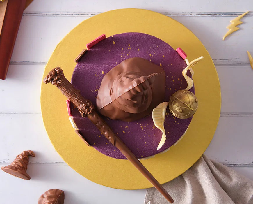 Harry Potter Cake