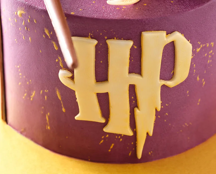 Harry Potter Cake