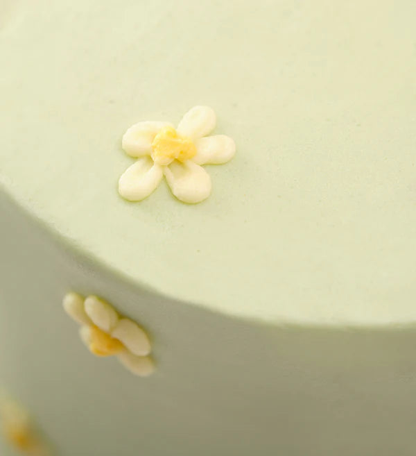 Daisy Doodle Cake